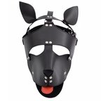 puppyXslave  is a asian onlyfans models